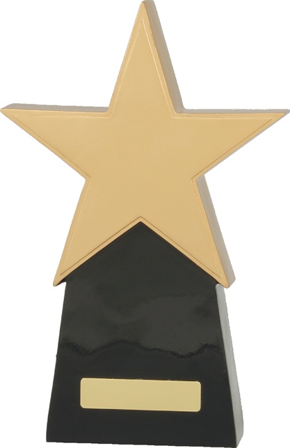 a369a_resin-star-trophies.jpg