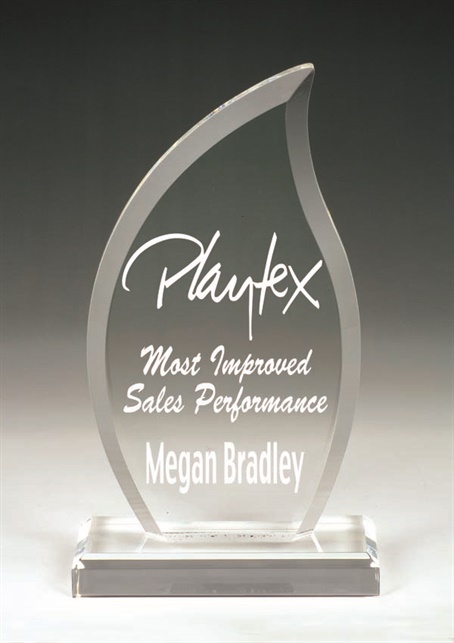 aa3861_acrylic-award-reiv.jpg