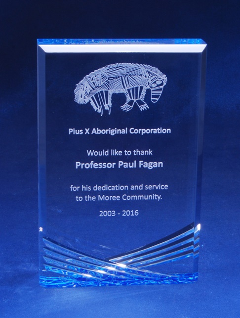 ac193_acrylic-corporate-trophies-awards(2).jpg