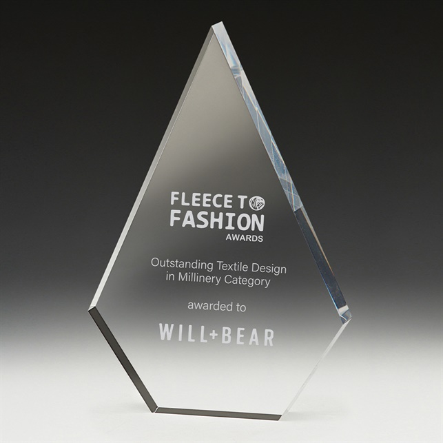 ac193_acrylic-corporate-trophies-awards(2).jpg