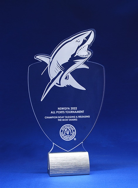 acmp1-l_acrylic-printed-award.jpg