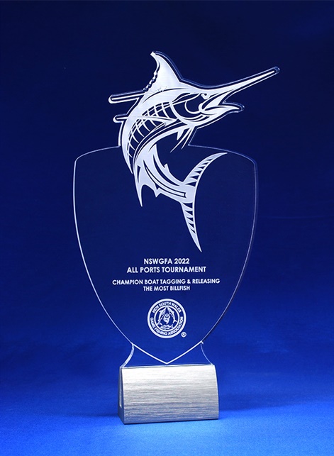 acmp1-l_acrylic-printed-award.jpg