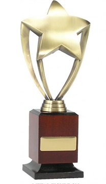 ad111_metal-star-trophies-1.jpg