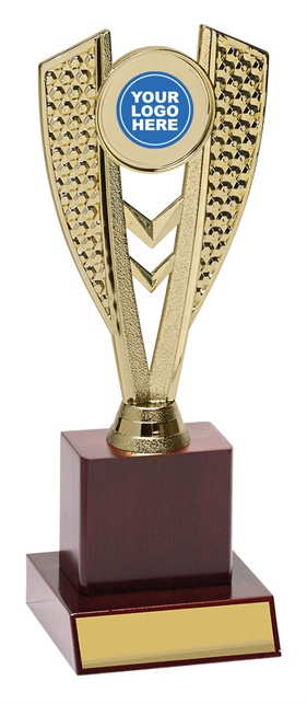 ar4102_discount-aussie-rules-afl-trophies.jpg
