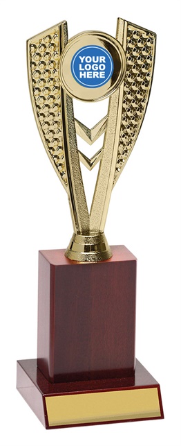 ar4102_discount-aussie-rules-afl-trophies.jpg