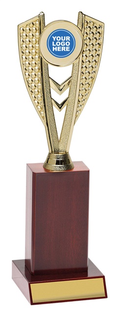 ar4102_discount-aussie-rules-afl-trophies.jpg
