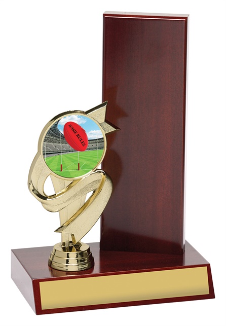ar4113_discount-aussie-rules-afl-trophies.jpg