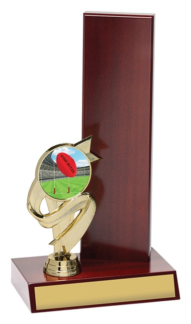 ar4113_discount-aussie-rules-afl-trophies.jpg