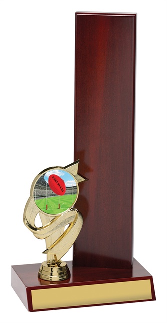 ar4113_discount-aussie-rules-afl-trophies.jpg