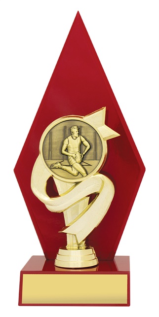 ar4130_discount-aussie-rules-afl-trophies.jpg