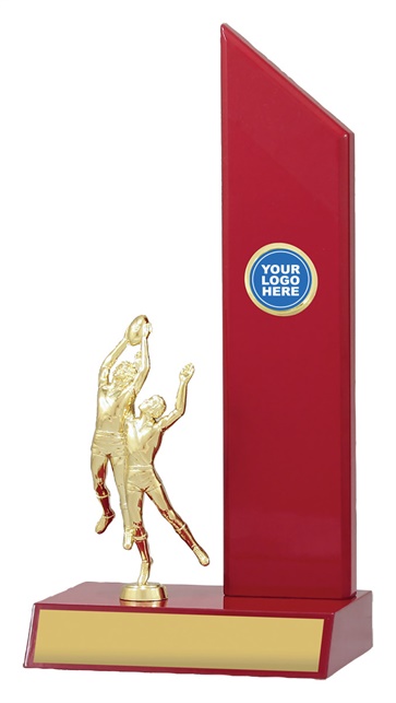 ar4137_discount-aussie-rules-afl-trophies.jpg
