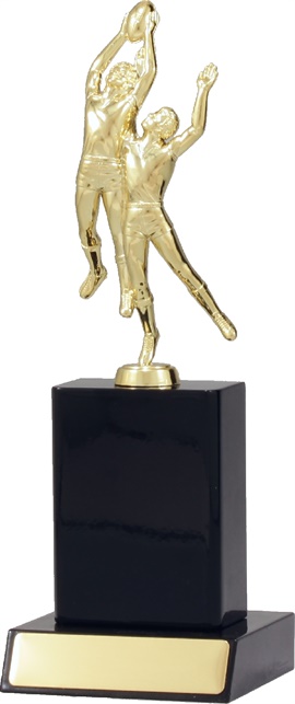 ar8043_discount-aussie-rules-afl-trophies.jpg