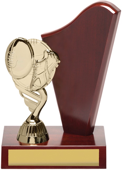 ar9030_discount-afl-aussie-rules-trophies.jpg