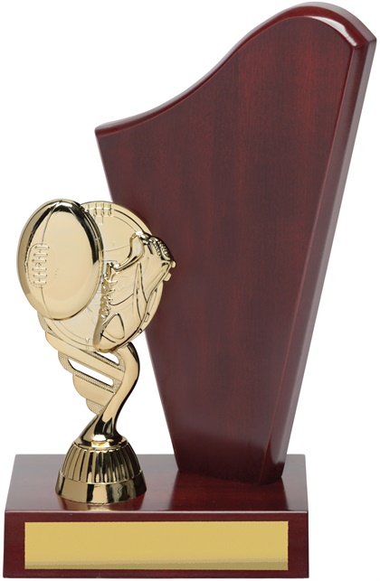 ar9030_discount-afl-aussie-rules-trophies.jpg