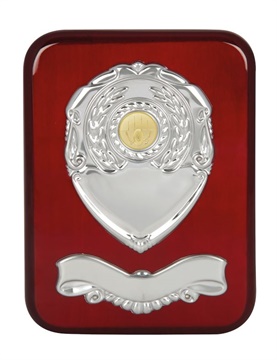 art178_sports-trophies.jpg