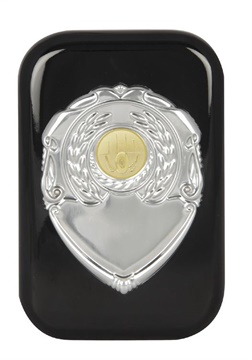art181_crest-shield.jpg