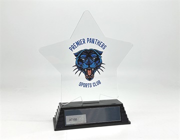 at155_discount-acrylic-trophies.jpg