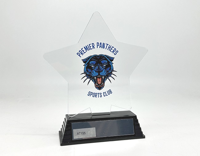 at155_discount-acrylic-trophies.jpg