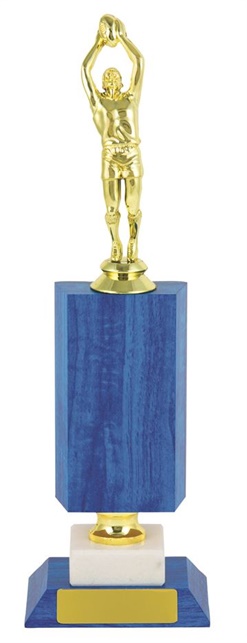 atg207_afl-trophy.jpg