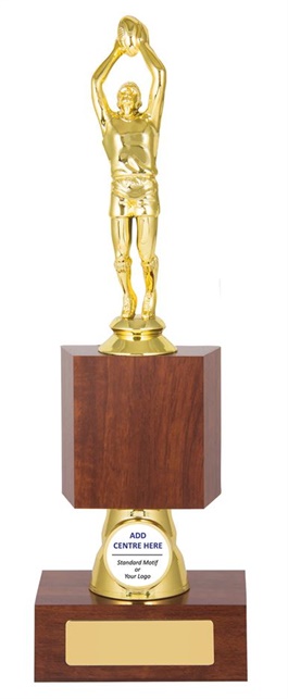 atg239_afl-trophy.jpg