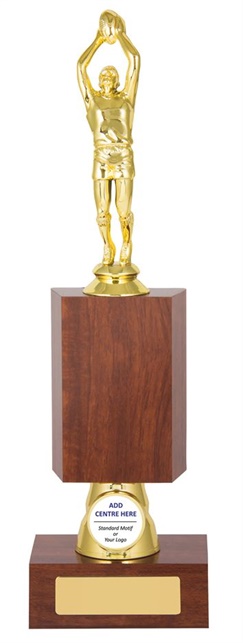 atg239_afl-trophy.jpg