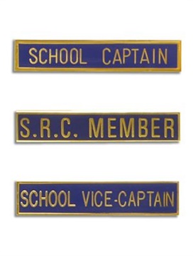 badges-page-tn-officebearer.jpg