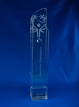 bct0083-l_crystal-double-curved-top-trophy_b-1.jpg