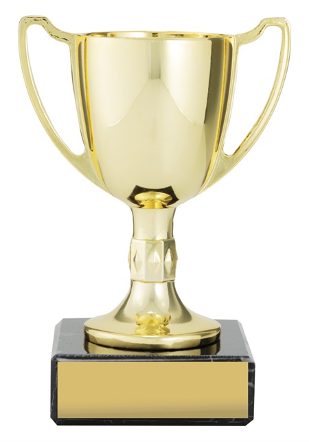 c0175_discount-general-sports-trophies.jpg