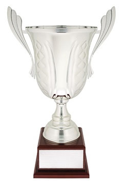 c0257_discount-general-sports-trophies.jpg