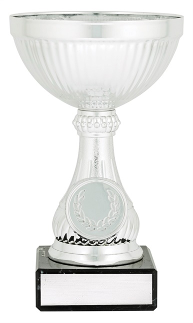 c0308_discount-general-sports-trophies.jpg