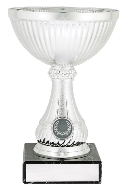 c0308_discount-general-sports-trophies.jpg