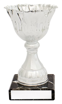 c0328_discount-general-sports-trophies.jpg