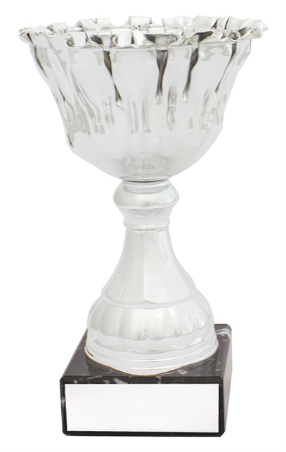 c0328_discount-general-sports-trophies.jpg