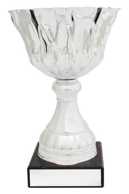 c0328_discount-general-sports-trophies.jpg
