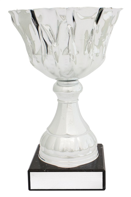 c0328_discount-general-sports-trophies.jpg