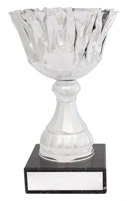 c0328_discount-general-sports-trophies.jpg