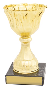 c0333_discount-general-sports-trophies.jpg