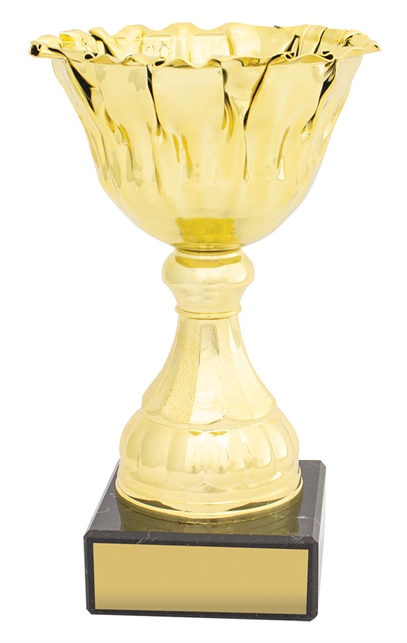 c0333_discount-general-sports-trophies.jpg