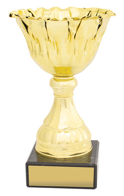 c0333_discount-general-sports-trophies.jpg