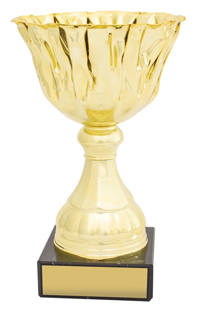 c0333_discount-general-sports-trophies.jpg