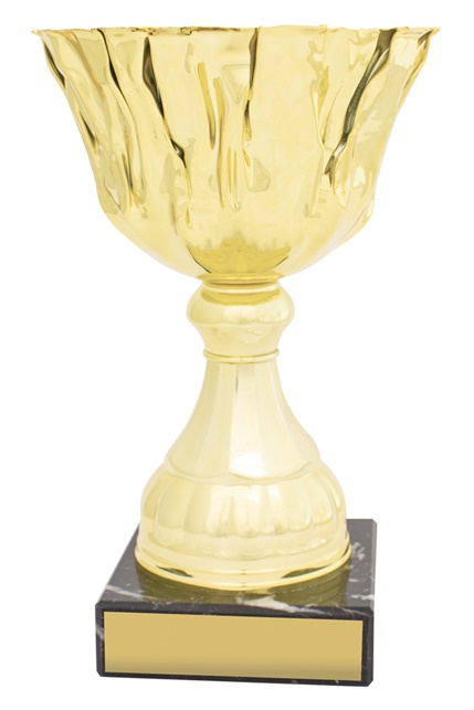 c0333_discount-general-sports-trophies.jpg