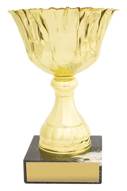 c0333_discount-general-sports-trophies.jpg