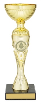 c0386_discount-general-sports-trophies.jpg