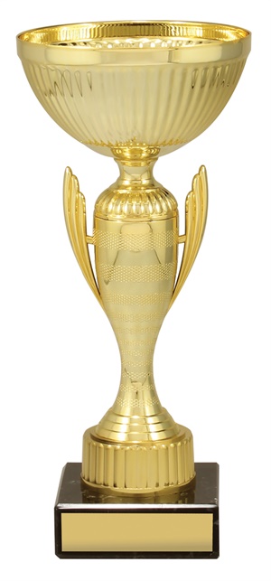 c0391_discount-general-sports-trophies.jpg