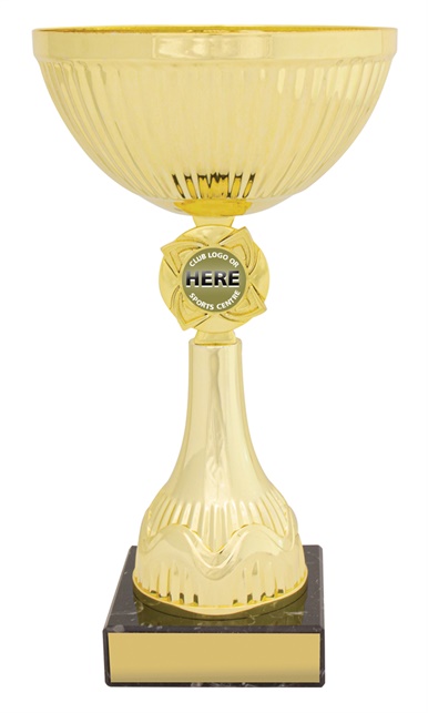 c0405_discount-general-sports-trophies.jpg