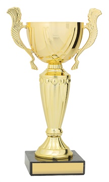 c0410_discount-general-sports-trophies.jpg