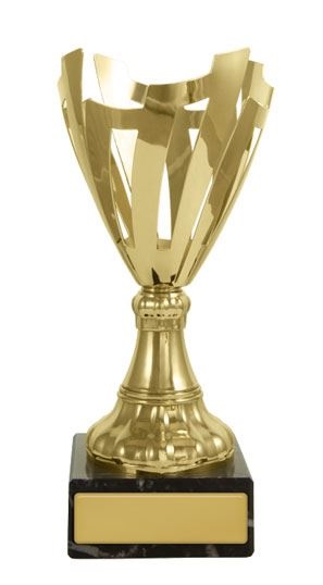 c162601_corporate-trophy.jpg