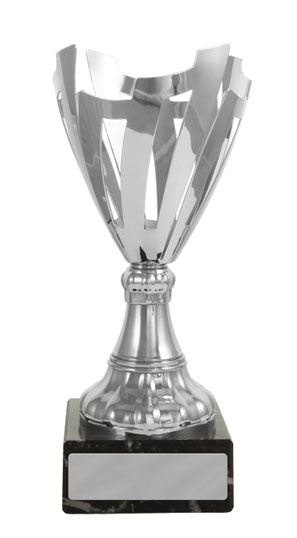 c162606_corporate-trophy.jpg