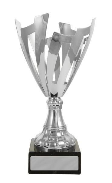 c162606_corporate-trophy.jpg
