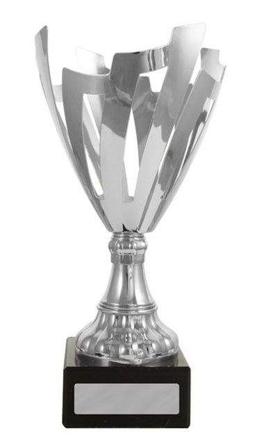 c162606_corporate-trophy.jpg